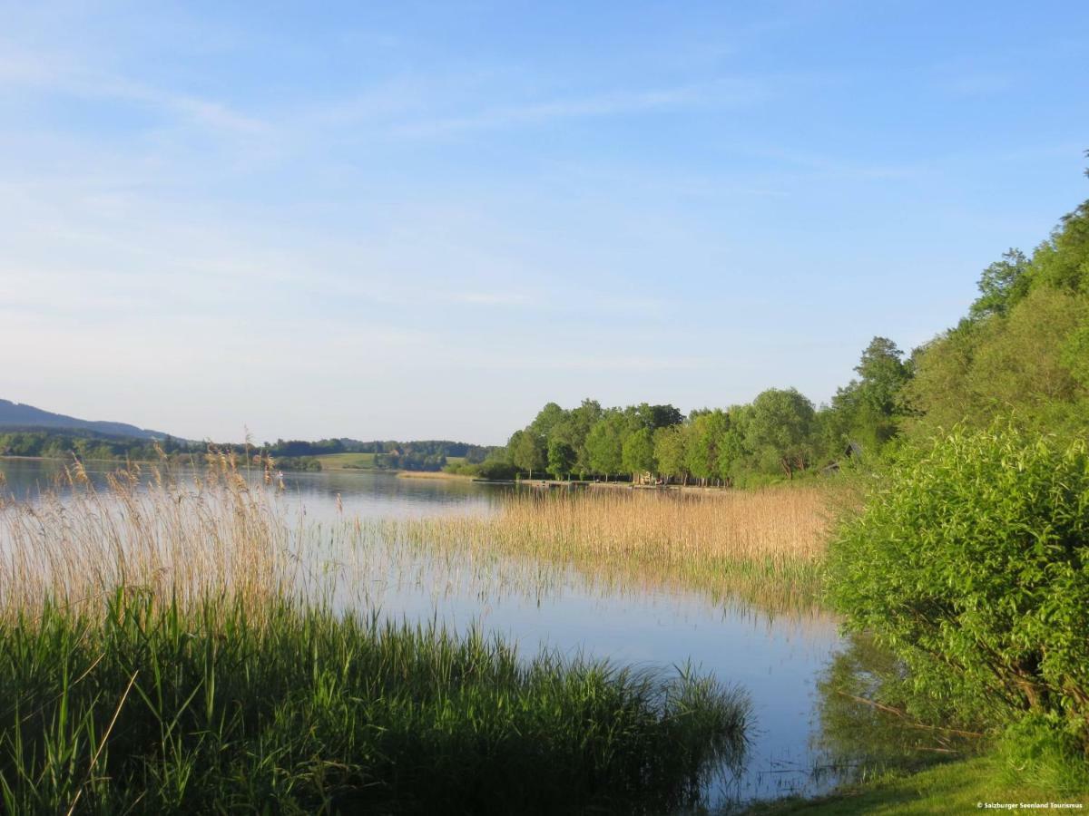 Pp-Camping Wallersee Seekirchen am Wallersee Exterior photo